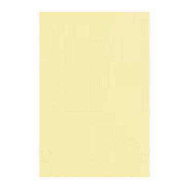 Набор бумаги цветной Brunnen Heyda Color Multi Purpose Card, 220 гр/м2, А4, 50 листов Шампанское - 41